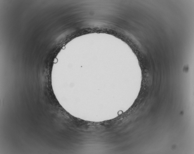 X0000116290918201001111053