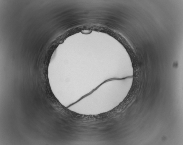 X0000116290919201001111053