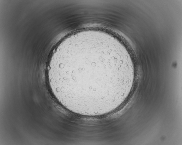 X0000116290921201001111053