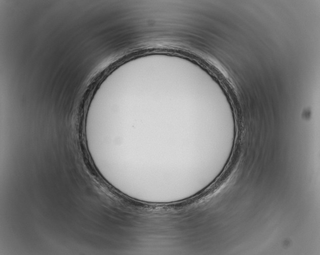 X0000116290922201001111053