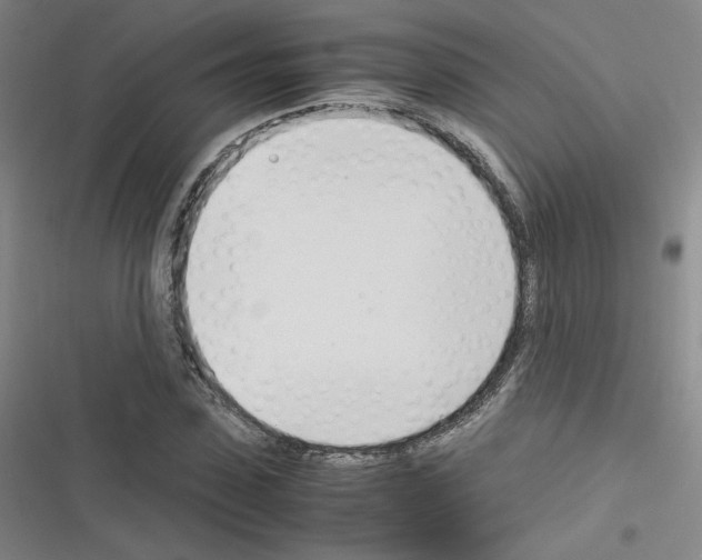 X0000116290923201001111053