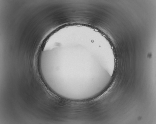 X0000116290925201001111053