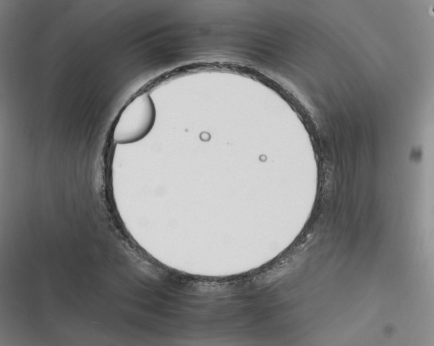 X0000116290927201001111053