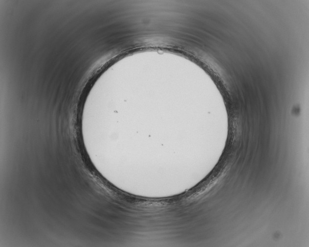 X0000116290930201001111053