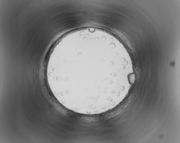 X0000116290931201001111053