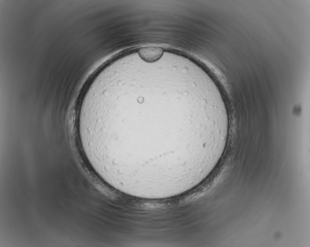 X0000116290933201001111053