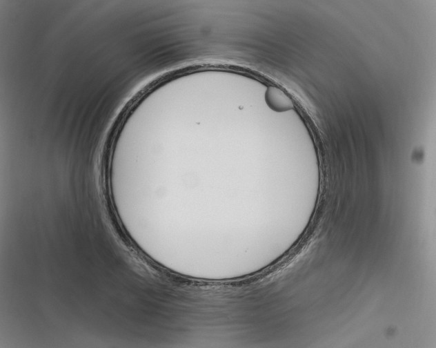 X0000116290934201001111053