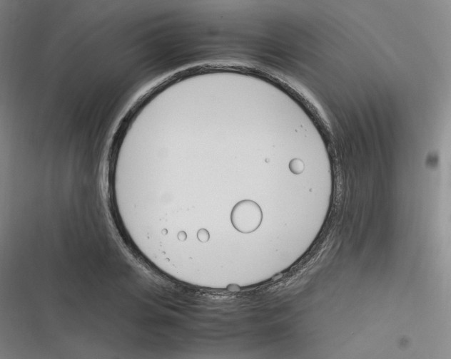 X0000116290935201001111053