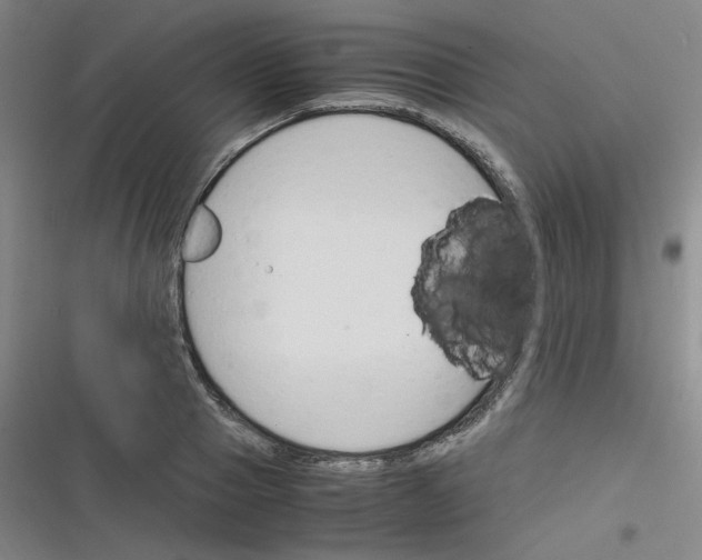 X0000116290937201001111053