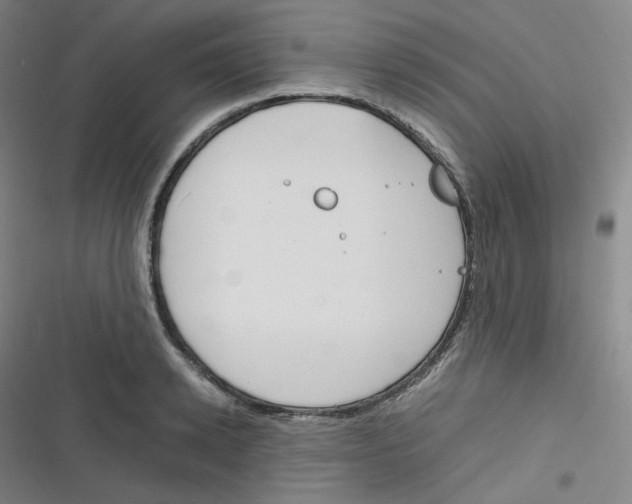 X0000116290942201001111053