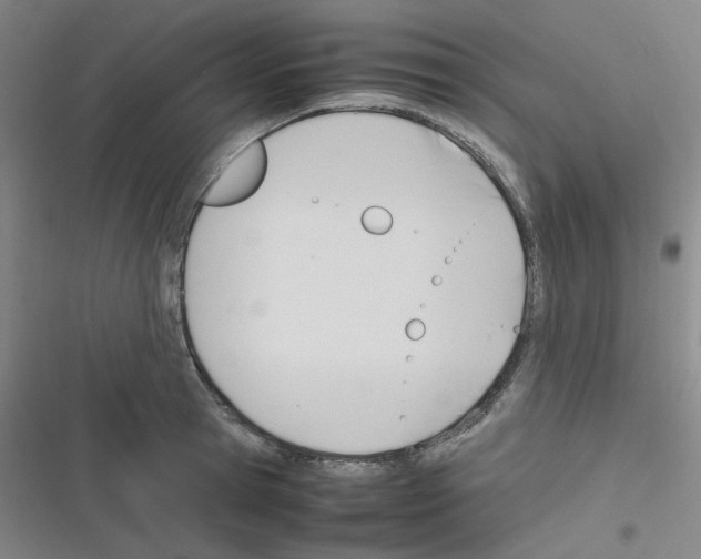 X0000116290945201001111053