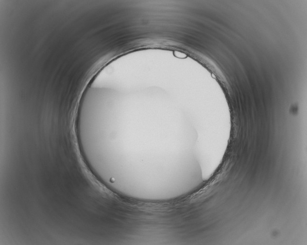 X0000116290946201001111053