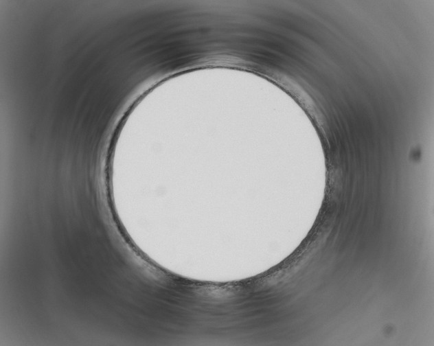 X0000116290947201001111054