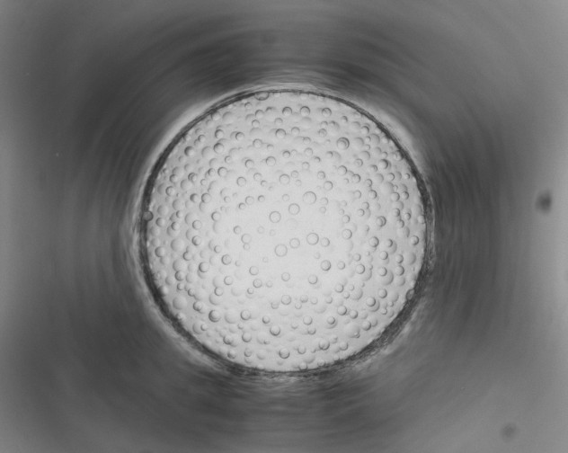 X0000116290949201001111054