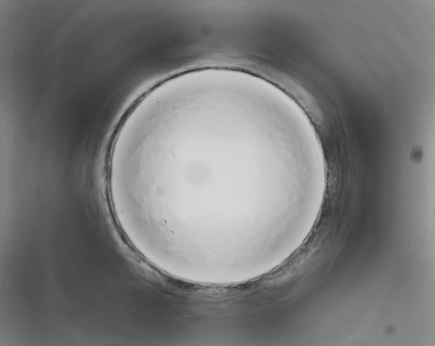 X0000116290950201001111054