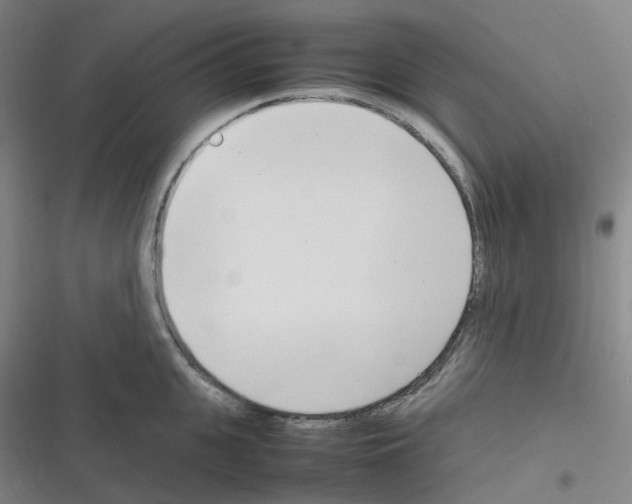 X0000116290951201001111054