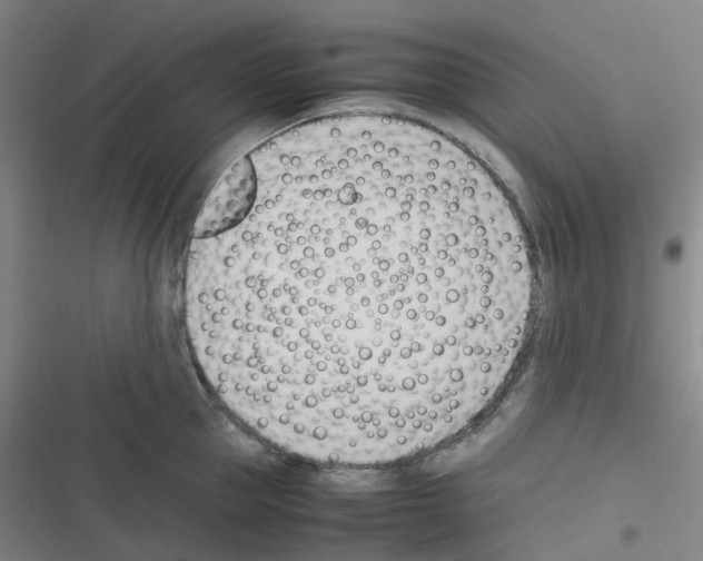 X0000116290953201001111054