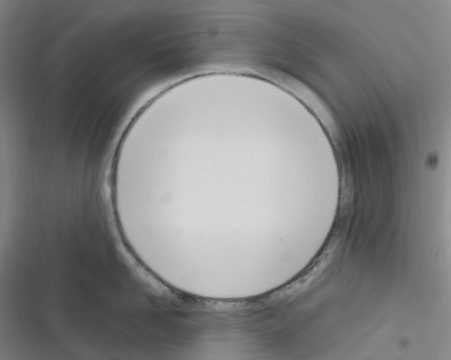 X0000116290958201001111054