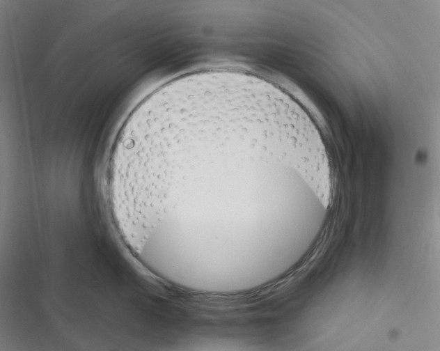 X0000116290959201001111054