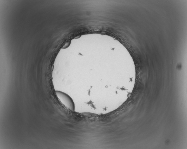 X0000116290961201001111053