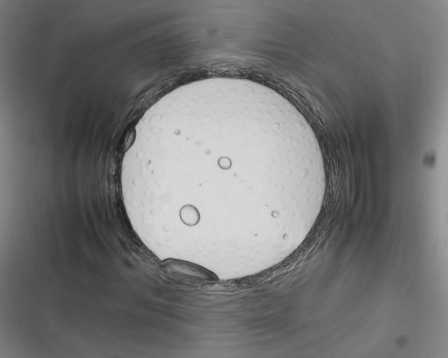 X0000116290964201001111053