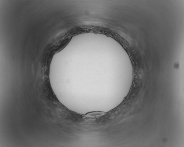 X0000116290965201001111053