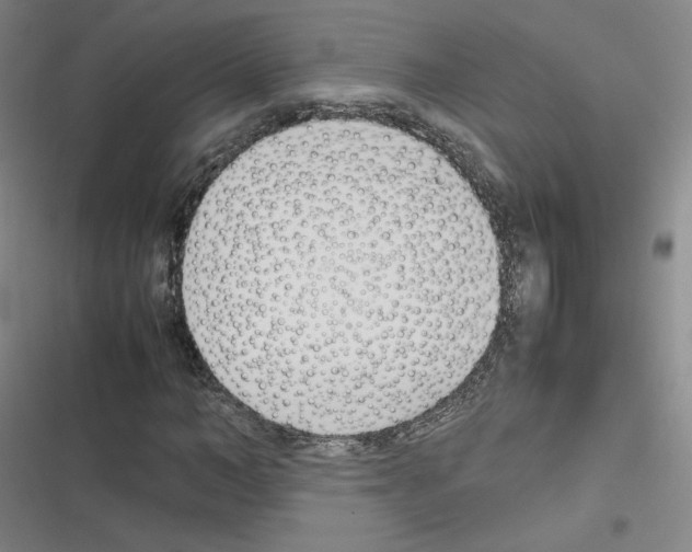 X0000116290966201001111053