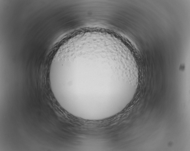 X0000116290968201001111053