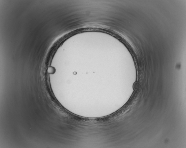 X0000116290971201001111053