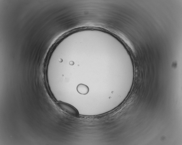 X0000116290972201001111053