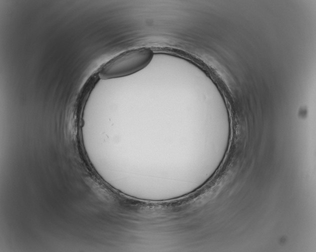 X0000116290973201001111053