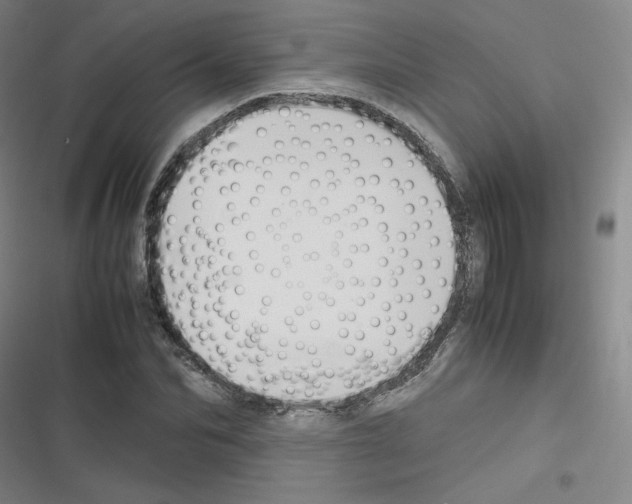 X0000116290974201001111053