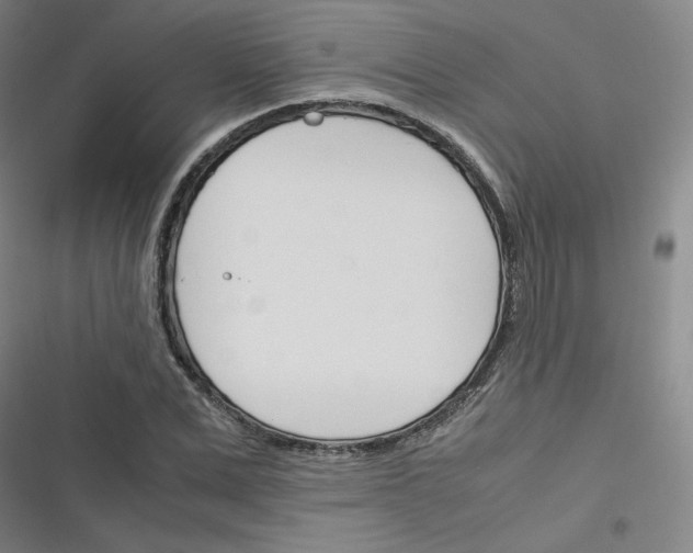 X0000116290975201001111053