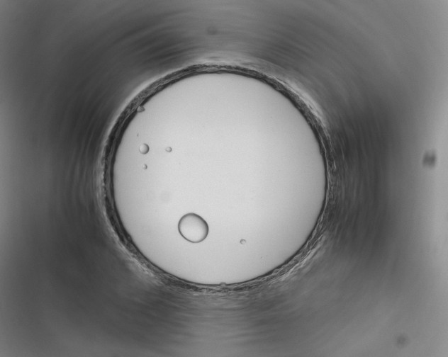 X0000116290976201001111053