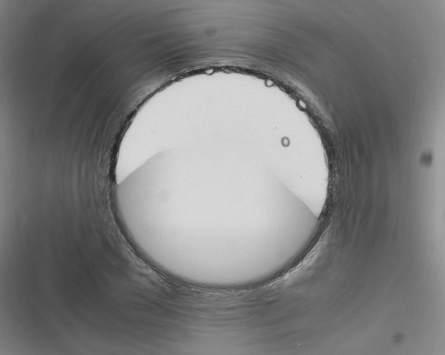 X0000116290977201001111053