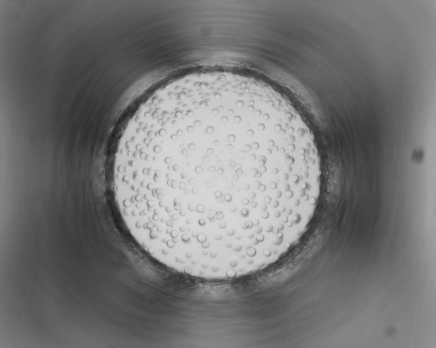 X0000116290978201001111053