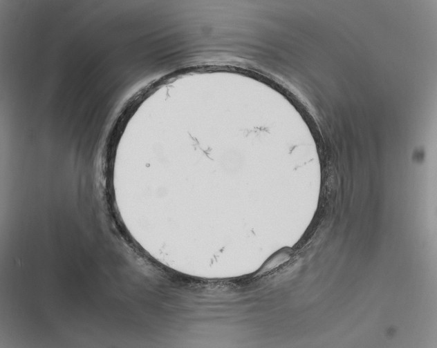 X0000116290979201001111053