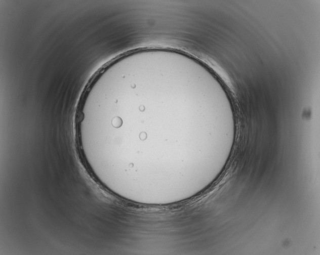 X0000116290980201001111053