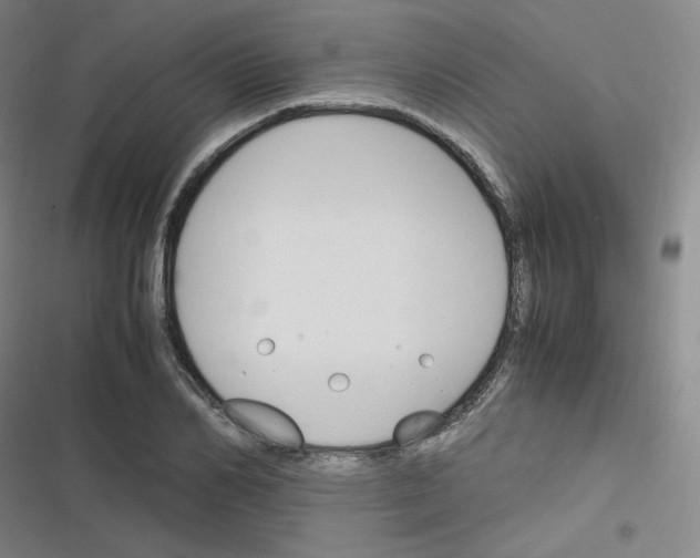 X0000116290982201001111053