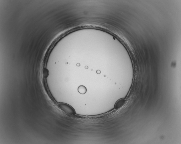 X0000116290984201001111053