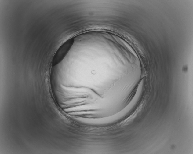 X0000116290985201001111053