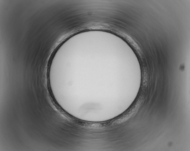 X0000116290986201001111053