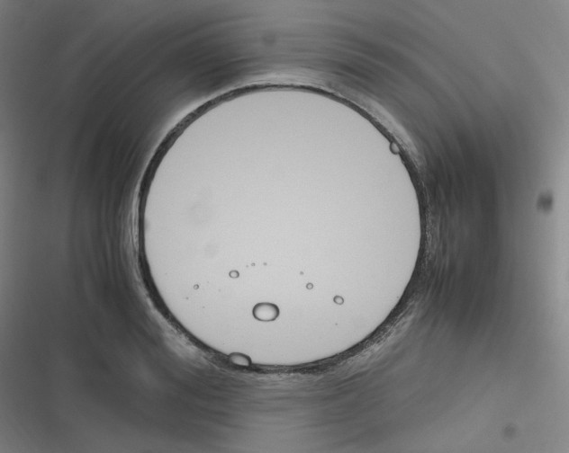 X0000116290988201001111053