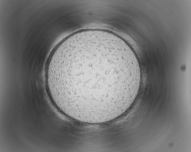 X0000116290990201001111053