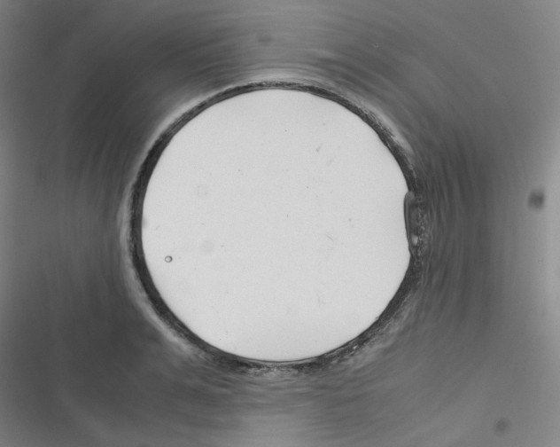 X0000116290991201001111053