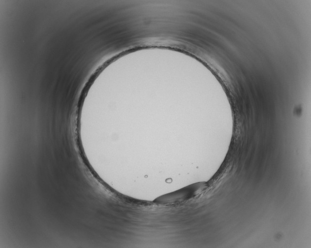 X0000116290992201001111053