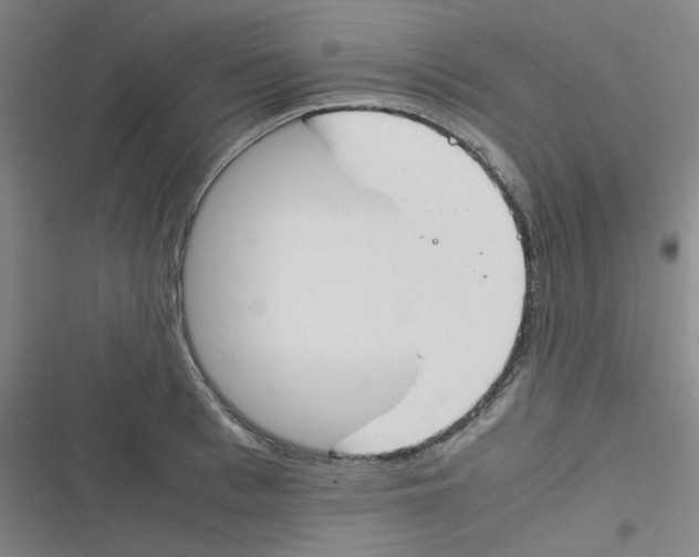 X0000116290993201001111053