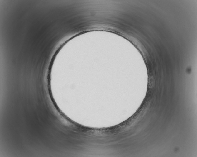 X0000116290995201001111053