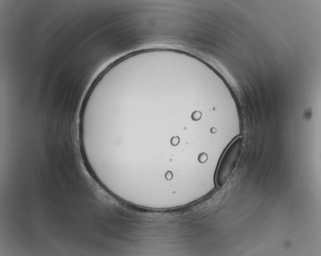 X0000116290996201001111053