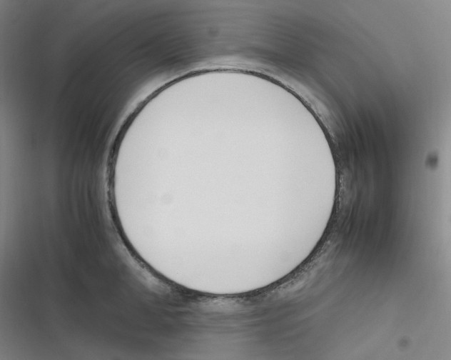 X0000116290998201001111053